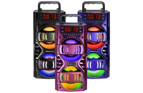 700 Watts Portable Multimedia Speaker with Bluetooth and USB/SD Support