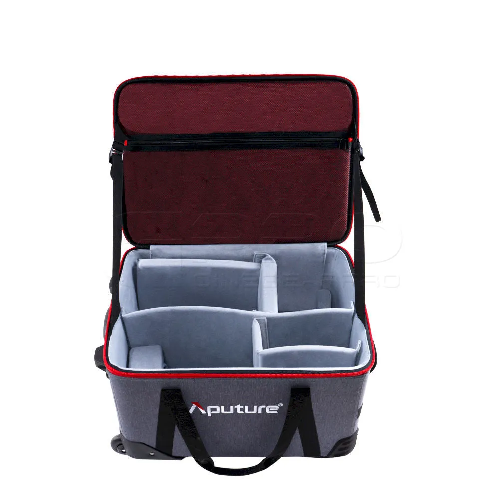 Aputure LS 600d Pro Light Storm 600W Daylight LED Light (V-Mount)