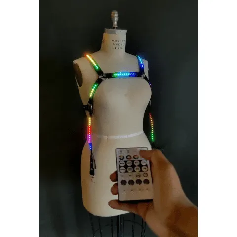 LED Harness