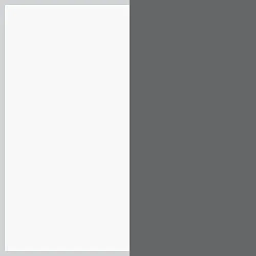 OtterBox DEFENDER iPhone 6/6s Case - Frustration-Free Packaging - GLACIER (WHITE/GUNMETAL GREY)