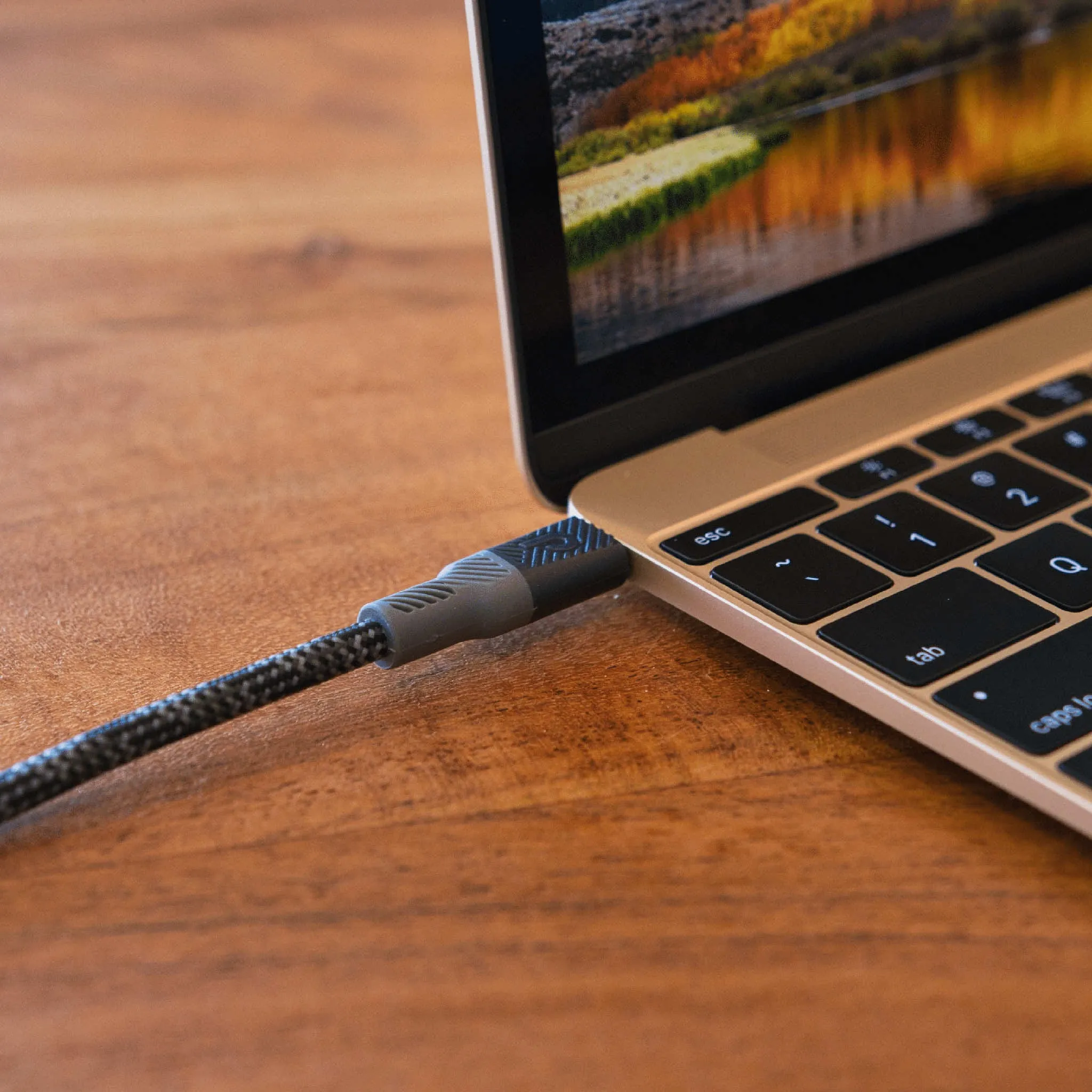 Paraflex™ USB-C to Lightning (Carbon)