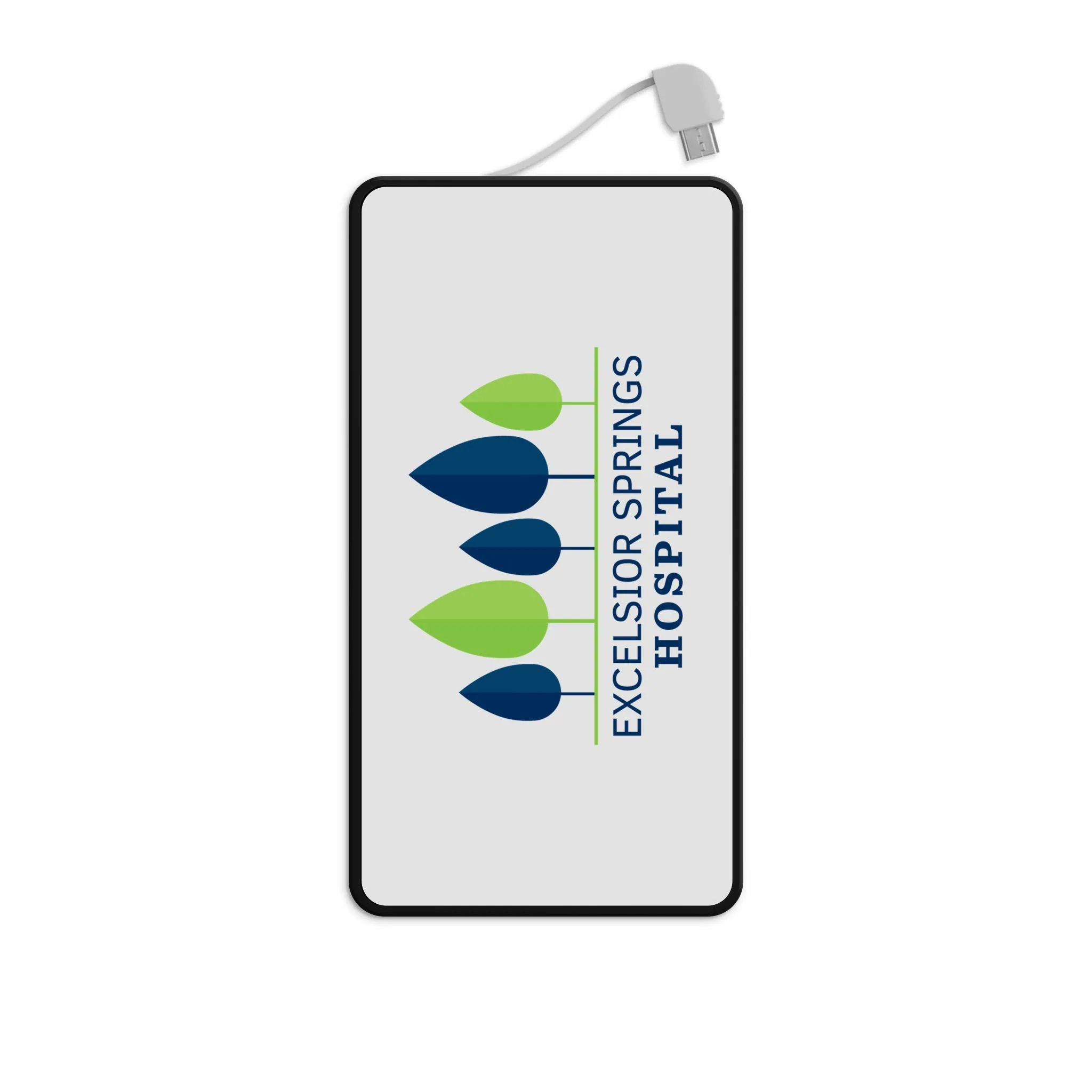 Power Bank - Excelsior Springs Hospital