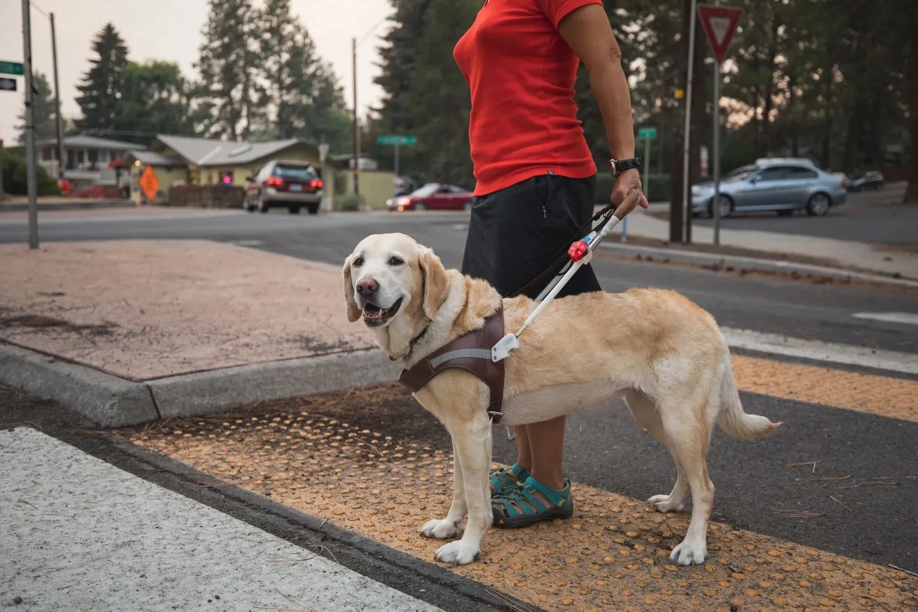 Ruffwear Audible Beacon™ Waterproof Rechargeable LED Safety Light (Red Currant)
